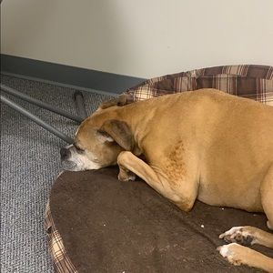 Meet your Posher, Kristina